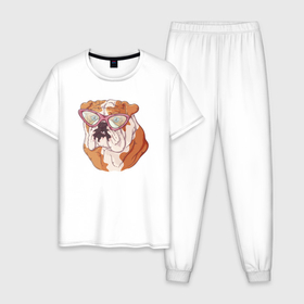 Мужская пижама хлопок с принтом Бульдог  в  очках в Новосибирске, 100% хлопок | брюки и футболка прямого кроя, без карманов, на брюках мягкая резинка на поясе и по низу штанин
 | Тематика изображения на принте: бульдог | пес | собака | собака в очках | собачка