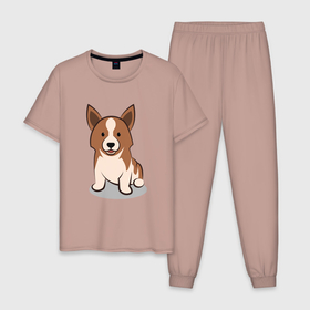 Мужская пижама хлопок с принтом Вельш корги (вектор) в Белгороде, 100% хлопок | брюки и футболка прямого кроя, без карманов, на брюках мягкая резинка на поясе и по низу штанин
 | corgi | dog | welsh corgi | вельш корги | корги | пес | собака | щенок