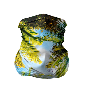 Бандана-труба 3D с принтом Пальмы под солнцем в Курске, 100% полиэстер, ткань с особыми свойствами — Activecool | плотность 150‒180 г/м2; хорошо тянется, но сохраняет форму | beach | clouds | exotic | green | hot | miami | palm | sea | sky | summer | sun | thailand | trees | tropics | ветви | ветки | деревья | джунгли | жара | лето | майами | маями | море | небо | облака | отпуск | пальмы | пляж | побережье | путешествие