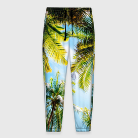 Мужские брюки 3D с принтом Пальмы под солнцем , 100% полиэстер | манжеты по низу, эластичный пояс регулируется шнурком, по бокам два кармана без застежек, внутренняя часть кармана из мелкой сетки | beach | clouds | exotic | green | hot | miami | palm | sea | sky | summer | sun | thailand | trees | tropics | ветви | ветки | деревья | джунгли | жара | лето | майами | маями | море | небо | облака | отпуск | пальмы | пляж | побережье | путешествие