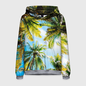 Мужская толстовка 3D с принтом Пальмы под солнцем , 100% полиэстер | двухслойный капюшон со шнурком для регулировки, мягкие манжеты на рукавах и по низу толстовки, спереди карман-кенгуру с мягким внутренним слоем. | Тематика изображения на принте: beach | clouds | exotic | green | hot | miami | palm | sea | sky | summer | sun | thailand | trees | tropics | ветви | ветки | деревья | джунгли | жара | лето | майами | маями | море | небо | облака | отпуск | пальмы | пляж | побережье | путешествие