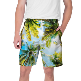 Мужские шорты 3D с принтом Пальмы под солнцем в Курске,  полиэстер 100% | прямой крой, два кармана без застежек по бокам. Мягкая трикотажная резинка на поясе, внутри которой широкие завязки. Длина чуть выше колен | Тематика изображения на принте: beach | clouds | exotic | green | hot | miami | palm | sea | sky | summer | sun | thailand | trees | tropics | ветви | ветки | деревья | джунгли | жара | лето | майами | маями | море | небо | облака | отпуск | пальмы | пляж | побережье | путешествие
