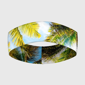 Повязка на голову 3D с принтом Пальмы под солнцем ,  |  | beach | clouds | exotic | green | hot | miami | palm | sea | sky | summer | sun | thailand | trees | tropics | ветви | ветки | деревья | джунгли | жара | лето | майами | маями | море | небо | облака | отпуск | пальмы | пляж | побережье | путешествие