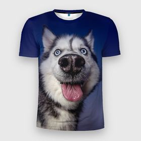 Мужская футболка 3D Slim с принтом Хаски   Веселый собакен в Новосибирске, 100% полиэстер с улучшенными характеристиками | приталенный силуэт, круглая горловина, широкие плечи, сужается к линии бедра | handeyework | арт | веселые | волк | животные | нос | нюх | прикольные | смех | смешные | собаки | собка | улыбка | хаски