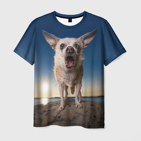 Мужская футболка 3D с принтом Свирепый Чихуахуа , 100% полиэфир | прямой крой, круглый вырез горловины, длина до линии бедер | mma | веселые | животные | злой | киборг | маленькие | мма | мохнатый | мощный | свирепый | смех | смешные | собака | собакен | чихуахуа