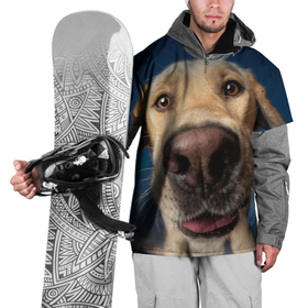 Накидка на куртку 3D с принтом Собакен   лабрадор , 100% полиэстер |  | Тематика изображения на принте: handeyework | животные | кожанный | красивые | лабрадор | нос | охраник | прикольные | смешные | собака | собаки
