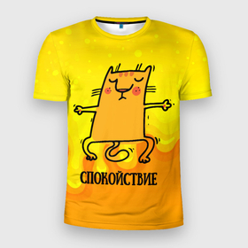 Мужская футболка 3D Slim с принтом Спокойствие.  Спокойный кот в Новосибирске, 100% полиэстер с улучшенными характеристиками | приталенный силуэт, круглая горловина, широкие плечи, сужается к линии бедра | йога | кот | котенок | котик | кошка | релакс | спокойный | спокойствие