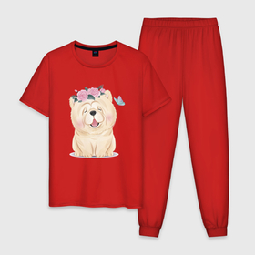 Мужская пижама хлопок с принтом Миленькая собачка чау чау в Екатеринбурге, 100% хлопок | брюки и футболка прямого кроя, без карманов, на брюках мягкая резинка на поясе и по низу штанин
 | Тематика изображения на принте: chow chow | dog | маленькая собачка | пес | песель | песик | собака | собачка | чау чау | щенок