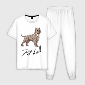 Мужская пижама хлопок с принтом Fearless Pit Bull в Петрозаводске, 100% хлопок | брюки и футболка прямого кроя, без карманов, на брюках мягкая резинка на поясе и по низу штанин
 | dog | ears | muzzle | pit bull | tail | пёс | питбуль | собака | уши | хвост