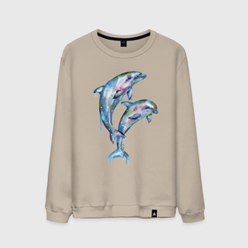 Мужской свитшот хлопок с принтом Dolphins   Watercolour , 100% хлопок |  | art | dolphin | fin | watercolour | акварель | дельфин | искусство | плавник
