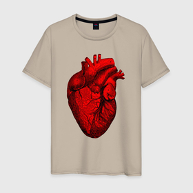 Мужская футболка хлопок с принтом Сердце анатомическое в Екатеринбурге, 100% хлопок | прямой крой, круглый вырез горловины, длина до линии бедер, слегка спущенное плечо. | doctor | physician | анатомия | большое | врач | врачи | доктор | лекарь | медик | медицина | медработник | сердце | скребок | терапевт | целитель | шабер | эскулап
