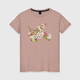 Женская футболка хлопок с принтом Время цвести цветущая яблоня белые розовые цветы в Екатеринбурге, 100% хлопок | прямой крой, круглый вырез горловины, длина до линии бедер, слегка спущенное плечо | белые цветы | весенние цветы | весенний | весна | природа | розовые цветы | цветение | цветы | цветы яблони | яблоневый цвет
