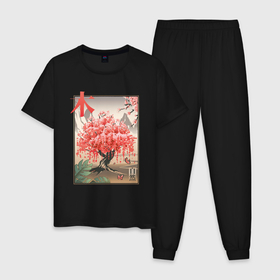 Мужская пижама хлопок с принтом Цветущая Сакура Япония. в Белгороде, 100% хлопок | брюки и футболка прямого кроя, без карманов, на брюках мягкая резинка на поясе и по низу штанин
 | flower | japan | sakura | tree | восток | горы | дерево | иероглиф | красота | лепестки | сакура | туризм | цветы | япония