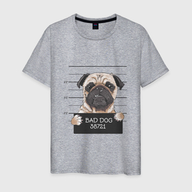 Мужская футболка хлопок с принтом Мопс bad dog в городе Новоалтайск, 100% хлопок | прямой крой, круглый вырез горловины, длина до линии бедер, слегка спущенное плечо. | bad | dog | за решёткой | мопс
