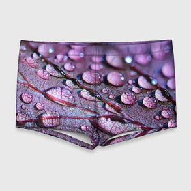 Мужские купальные плавки 3D с принтом капели на листочке в Петрозаводске, Полиэстер 85%, Спандекс 15% |  | дождь | капельки | капли | капли на  листочке | листочек | природа