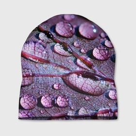 Шапка 3D с принтом капели на листочке в Санкт-Петербурге, 100% полиэстер | универсальный размер, печать по всей поверхности изделия | дождь | капельки | капли | капли на  листочке | листочек | природа