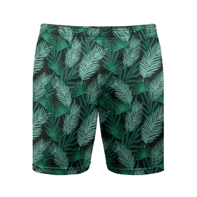 Мужские шорты спортивные с принтом Тропические листья, паттерн в Тюмени,  |  | ветки | зеленый | летний | листья | паттерн | растения | с листьями | тропические