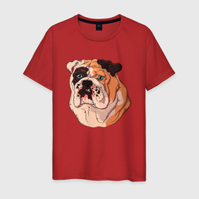 Мужская футболка хлопок с принтом Морда  бульдога в Курске, 100% хлопок | прямой крой, круглый вырез горловины, длина до линии бедер, слегка спущенное плечо. | бульдог | пес | псина | собака