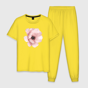 Мужская пижама хлопок с принтом Нежный мак в Тюмени, 100% хлопок | брюки и футболка прямого кроя, без карманов, на брюках мягкая резинка на поясе и по низу штанин
 | Тематика изображения на принте: акварель | мак | нежность | розовый мак | цветок | цветы