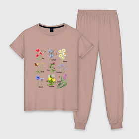 Женская пижама хлопок с принтом Иллюстрации полевых цветов с названиями в Тюмени, 100% хлопок | брюки и футболка прямого кроя, без карманов, на брюках мягкая резинка на поясе и по низу штанин | иван чай | иллюстрация цветов | клевер | луговые цветы | лютик | мак | незабудка | одуванчик | полевые цветы | ромашка | с бабочками | цветы | цикорий