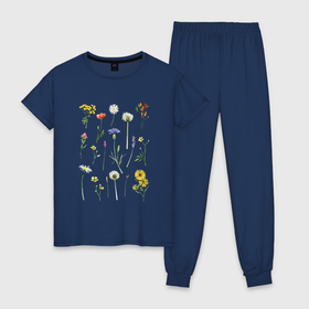 Женская пижама хлопок с принтом Акварельная иллюстрация полевых цветов в Тюмени, 100% хлопок | брюки и футболка прямого кроя, без карманов, на брюках мягкая резинка на поясе и по низу штанин | акварельный рисунок цветов | василек | иллюстрация цветов | клевер | луговые цветы | лютик | мак | одуванчик | пижма | полевые цветы | ромашка | цветы акварелью