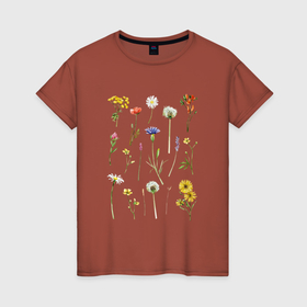 Женская футболка хлопок Акварельная иллюстрация полевых цветов купить в Санкт-Петербурге