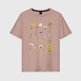 Женская футболка хлопок Oversize с принтом Акварельная иллюстрация полевых цветов , 100% хлопок | свободный крой, круглый ворот, спущенный рукав, длина до линии бедер
 | акварельный рисунок цветов | василек | иллюстрация цветов | клевер | луговые цветы | лютик | мак | одуванчик | пижма | полевые цветы | ромашка | цветы акварелью