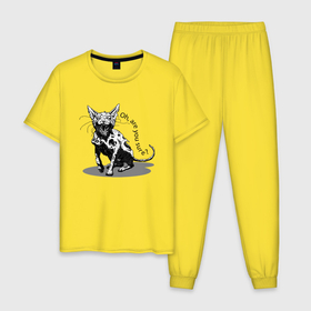 Мужская пижама хлопок с принтом А, ты уверен   Hype в Кировске, 100% хлопок | брюки и футболка прямого кроя, без карманов, на брюках мягкая резинка на поясе и по низу штанин
 | Тематика изображения на принте: cat | ears | fangs | fear | halloween | horror | hype | jaw | kitten | muzzle | paws | tail | клыки | котёнок | кошка | лапы | пасть | ужас | уши | хайп | хвост | хэллоуин