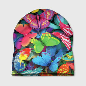 Шапка 3D с принтом Стая бабочек   Pattern в Белгороде, 100% полиэстер | универсальный размер, печать по всей поверхности изделия | butterfly | color | pattern | wings | бабочка | крылья | узор | цвет