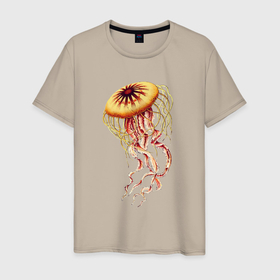 Мужская футболка хлопок с принтом Морская медуза , 100% хлопок | прямой крой, круглый вырез горловины, длина до линии бедер, слегка спущенное плечо. | медуза | море | морские жители | морские мотивы