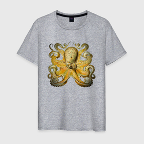 Мужская футболка хлопок с принтом Осьминог обыкновенный в Курске, 100% хлопок | прямой крой, круглый вырез горловины, длина до линии бедер, слегка спущенное плечо. | Тематика изображения на принте: морское чудовище | морской житель | морской мир | осьминог