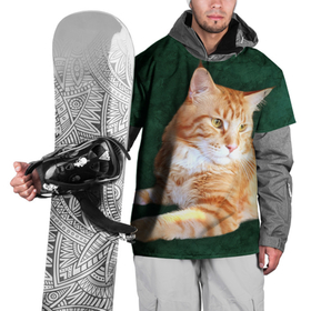 Накидка на куртку 3D с принтом Мейн кун рыжий кот в Кировске, 100% полиэстер |  | Тематика изображения на принте: cat | зеленая | зеленый | кот | котенок | котик | красивый | кун | мейн | порода | рыжий | фотография
