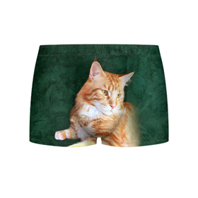 Мужские трусы 3D с принтом Мейн кун рыжий кот в Белгороде, 50% хлопок, 50% полиэстер | классическая посадка, на поясе мягкая тканевая резинка | Тематика изображения на принте: cat | зеленая | зеленый | кот | котенок | котик | красивый | кун | мейн | порода | рыжий | фотография
