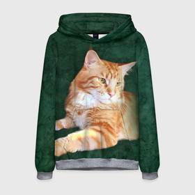 Мужская толстовка 3D с принтом Мейн кун рыжий кот в Петрозаводске, 100% полиэстер | двухслойный капюшон со шнурком для регулировки, мягкие манжеты на рукавах и по низу толстовки, спереди карман-кенгуру с мягким внутренним слоем. | Тематика изображения на принте: cat | зеленая | зеленый | кот | котенок | котик | красивый | кун | мейн | порода | рыжий | фотография