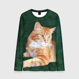 Мужской лонгслив 3D с принтом Мейн кун рыжий кот в Екатеринбурге, 100% полиэстер | длинные рукава, круглый вырез горловины, полуприлегающий силуэт | Тематика изображения на принте: cat | зеленая | зеленый | кот | котенок | котик | красивый | кун | мейн | порода | рыжий | фотография