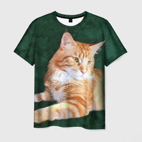 Мужская футболка 3D с принтом Мейн кун рыжий кот в Белгороде, 100% полиэфир | прямой крой, круглый вырез горловины, длина до линии бедер | cat | зеленая | зеленый | кот | котенок | котик | красивый | кун | мейн | порода | рыжий | фотография