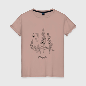 Женская футболка хлопок с принтом Наперстянка Digitalis ботаническая иллюстрация в Санкт-Петербурге, 100% хлопок | прямой крой, круглый вырез горловины, длина до линии бедер, слегка спущенное плечо | digitalis | ботаника | ботаническая иллюстрация | наперстянка | растение