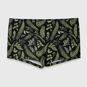 Мужские купальные плавки 3D с принтом Зелёные листья папоротника на черном фоне в Тюмени, Полиэстер 85%, Спандекс 15% |  | зеленые листья | листья | листья на темном фоне | папоротник | растения | растительный рисунок