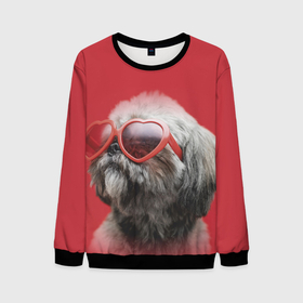 Мужской свитшот 3D с принтом Собака в розовых очках в Новосибирске, 100% полиэстер с мягким внутренним слоем | круглый вырез горловины, мягкая резинка на манжетах и поясе, свободная посадка по фигуре | животное | милота | очки | розовое | собака | щенок