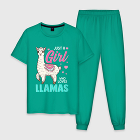 Мужская пижама хлопок с принтом Lama glama в Андах в Петрозаводске, 100% хлопок | брюки и футболка прямого кроя, без карманов, на брюках мягкая резинка на поясе и по низу штанин
 | Тематика изображения на принте: lama | lama glama | mojo | анды | лама