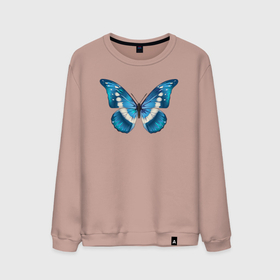 Мужской свитшот хлопок с принтом Blue butterfly (синяя бабочка) в Тюмени, 100% хлопок |  | blue | butterfly | бабочка | красивая | синяя