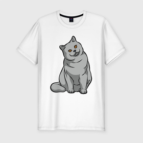 Мужская футболка хлопок Slim с принтом Серый котейка ) в Кировске, 92% хлопок, 8% лайкра | приталенный силуэт, круглый вырез ворота, длина до линии бедра, короткий рукав | cat | gray | кот | котейка | котик | кошка | серый