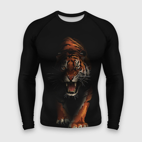 Мужской рашгард 3D с принтом Тигр на черном фоне ,  |  | большая кошка | зверь | тигр | тигрище | хищник