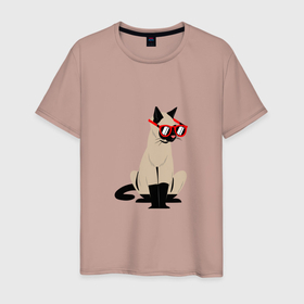 Мужская футболка хлопок с принтом КОТ И ОЧКИ в Екатеринбурге, 100% хлопок | прямой крой, круглый вырез горловины, длина до линии бедер, слегка спущенное плечо. | домашнее животное | животное | забавный кот | кот | кот в очках | котенок | любитель кошек | милый | смешной