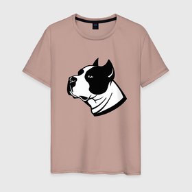 Мужская футболка хлопок с принтом Staffordshire Terrier   Muzzle в Санкт-Петербурге, 100% хлопок | прямой крой, круглый вырез горловины, длина до линии бедер, слегка спущенное плечо. | dog | ears | eyes | muzzle | power | staffordshire terrier | глаза | мощь | собака | стаффордширский терьер | уши