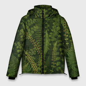 Мужская зимняя куртка 3D с принтом Цветы Зеленые Папоротники в Тюмени, верх — 100% полиэстер; подкладка — 100% полиэстер; утеплитель — 100% полиэстер | длина ниже бедра, свободный силуэт Оверсайз. Есть воротник-стойка, отстегивающийся капюшон и ветрозащитная планка. 

Боковые карманы с листочкой на кнопках и внутренний карман на молнии. | Тематика изображения на принте: flowers | природа | растение | флора | цветы