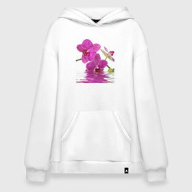 Худи SuperOversize хлопок с принтом orchid pink в Белгороде, 70% хлопок, 30% полиэстер, мягкий начес внутри | карман-кенгуру, эластичная резинка на манжетах и по нижней кромке, двухслойный капюшон
 | orchid pink | орхидея | орхидея и вода | орхидея розовая | отражение в воде | цветы