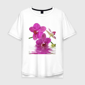 Мужская футболка хлопок Oversize с принтом orchid pink в Тюмени, 100% хлопок | свободный крой, круглый ворот, “спинка” длиннее передней части | Тематика изображения на принте: orchid pink | орхидея | орхидея и вода | орхидея розовая | отражение в воде | цветы