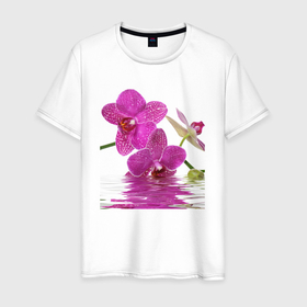 Мужская футболка хлопок с принтом orchid pink в Новосибирске, 100% хлопок | прямой крой, круглый вырез горловины, длина до линии бедер, слегка спущенное плечо. | orchid pink | орхидея | орхидея и вода | орхидея розовая | отражение в воде | цветы