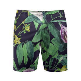Мужские шорты спортивные с принтом Цветы Ботанические ,  |  | Тематика изображения на принте: flowers | природа | растение | флора | цветы